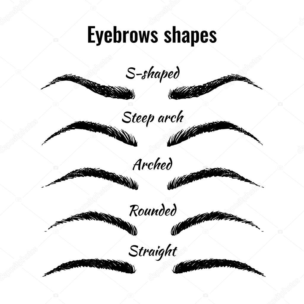 Eyebrows shapes vector set, five main shapes of woman eyebrows isolated on white background
