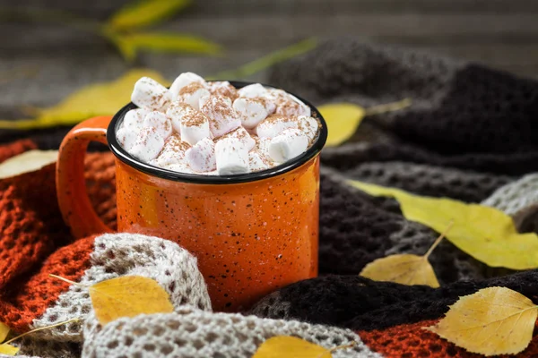 Hot cocoa with marshmallows. Autumn mood