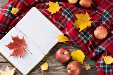 Sonbahar ruh hali. Rahat bir atmosfer.