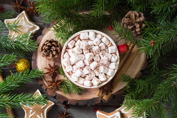 Cocoa Marshmallows Christmas Composition — Stock Photo, Image