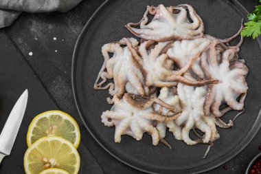 Koyu arka planda ham ahtapotlar