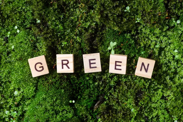 Slovo Zelená Slovo Zelená Napsáno Pozadí Mechu Písmena Dřevěných Blocích — Stock fotografie