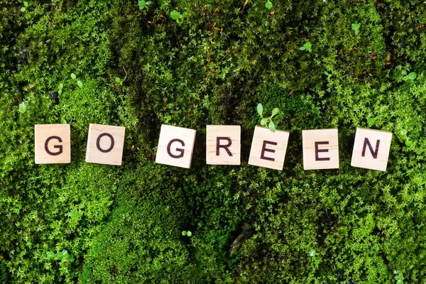 Words Green Words Green Written Background Moss Letters Wooden Blocks — Stock Photo, Image