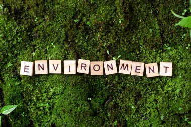 Çevre kelimesi. Çevre kelimesi yeşil yosun arka planında yazılıdır. Tahta bloklardaki harfler çevreyi oluşturuyor. Yukarıdan manzara. Pankart