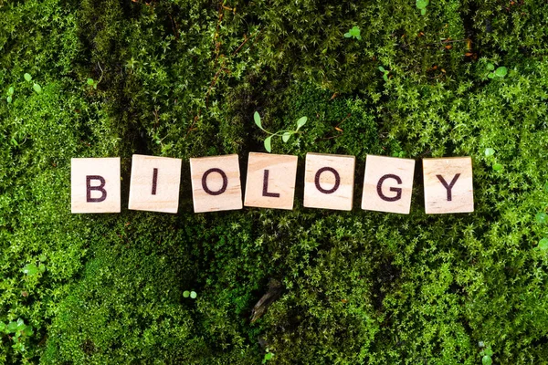 Slovo Biologie Slovo Biologie Napsáno Zeleném Pozadí Mechu Písmena Dřevěných — Stock fotografie
