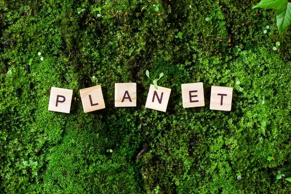 Bolygó Szó Bolygó Szó Moha Zöld Hátterére Van Írva Fablokkokra — Stock Fotó