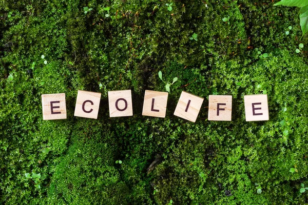 Ordet Ecolife Ordet Ecolife Skrivet Grön Bakgrund Mossa Bokstäverna Träklossarna — Stockfoto
