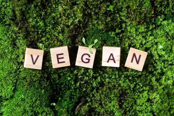 Palabra Vegano Palabra Vegano Está Escrita Sobre Fondo Verde Musgo —  Fotos de Stock