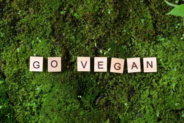 Las Palabras Vuelven Veganas Las Palabras Vegan Están Escritas Sobre —  Fotos de Stock