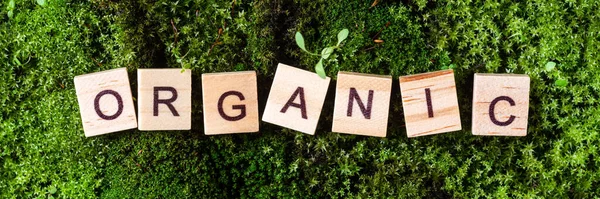 Het Woord Organisch Het Woord Organisch Geschreven Een Groene Achtergrond — Stockfoto