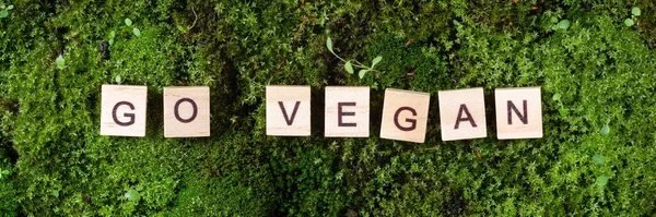 Las Palabras Vuelven Veganas Las Palabras Vegan Están Escritas Sobre —  Fotos de Stock