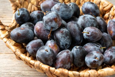 Olgun erik. Gri ahşap bir masada sepetin içinde bir sürü erik. Mavi erikler yakın plan. Sağlıklı meyve