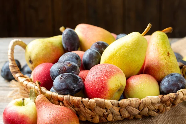 Assortment of fruits in a basket on the table. There are a lot of different raw fruits in the basket. Plums, peaches, apples and pears on the table. Healthy food concept