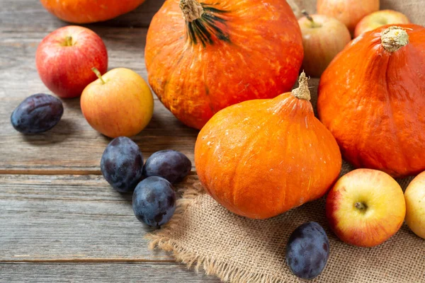 Hokkaido balkabakları, elmalar ve erikler gri ahşap bir masanın üzerine serilmiştir. Sonbahar hasadı konsepti. Şükran Günü