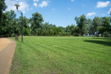 Yeşil çimenli park alanı