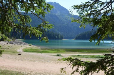 Dağ manzaralı dağ nehri