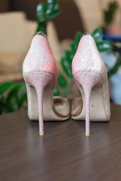 Wanita Stylish Sepatu Hak Tinggi — Stok Foto