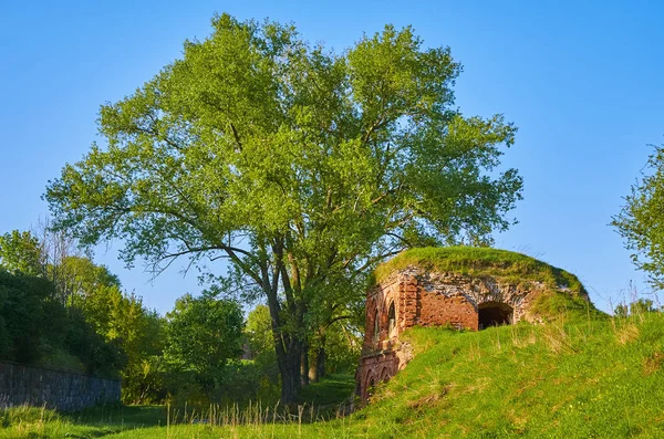 Rester Gammal Fästning Daugavpils Lettland — Stockfoto