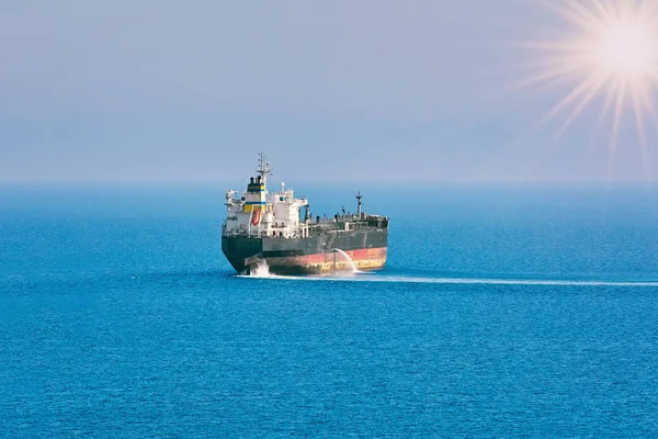 Yeşil çimenlerin üzerinde esneme yolunu yitirmek kedi