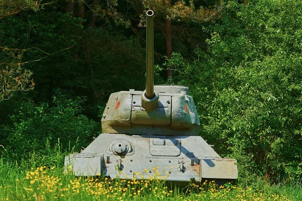 Tanque Segunda Guerra Mundial Floresta — Fotografia de Stock