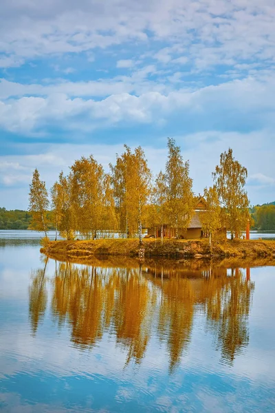 Petite Île Avec Une Maison Parmi Les Bouleaux Milieu Daugava — Photo