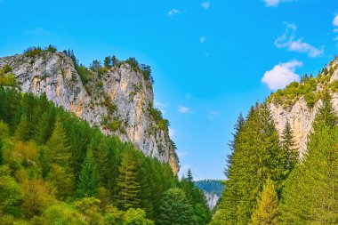 Trigrad Vadisi, Güney Bulgaristan 'daki Rodop Dağları, Güneydoğu Avrupa