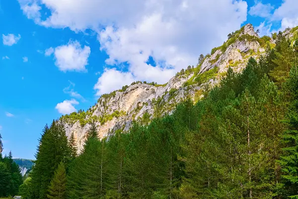 Trigrad Gorge Rhodope Mountains Sul Bulgária Sudeste Europa — Fotografia de Stock
