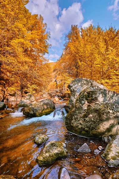 Údolí Řeky Děvín Západní Rodopy — Stock fotografie