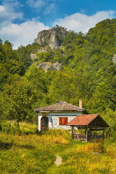 Devin Nehri Vadisi Ndeki Batı Rhodopes — Stok fotoğraf