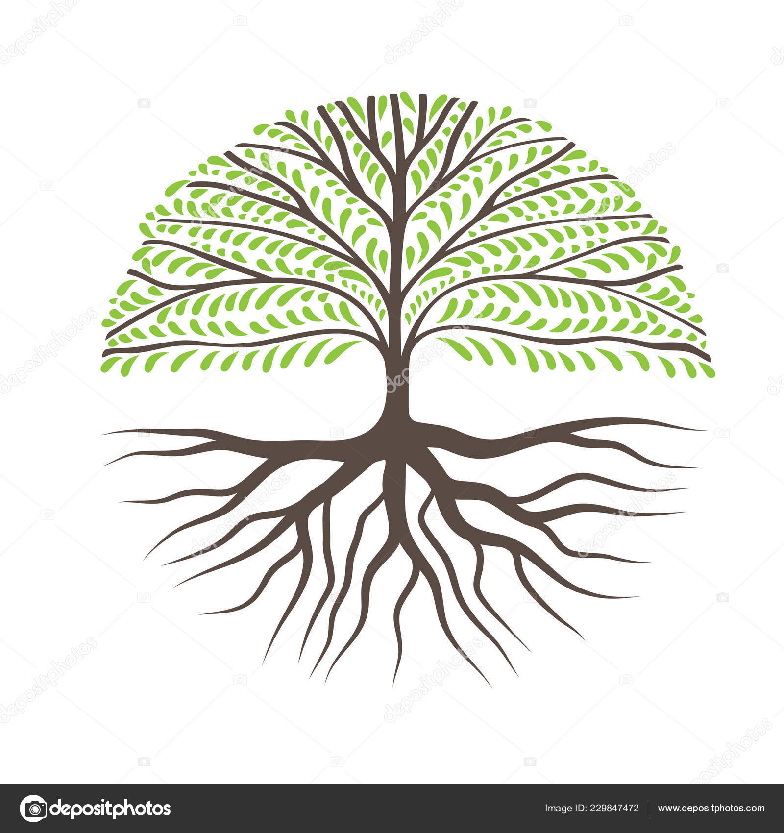 Spruch Wurzeln Baum Hochzeit information online