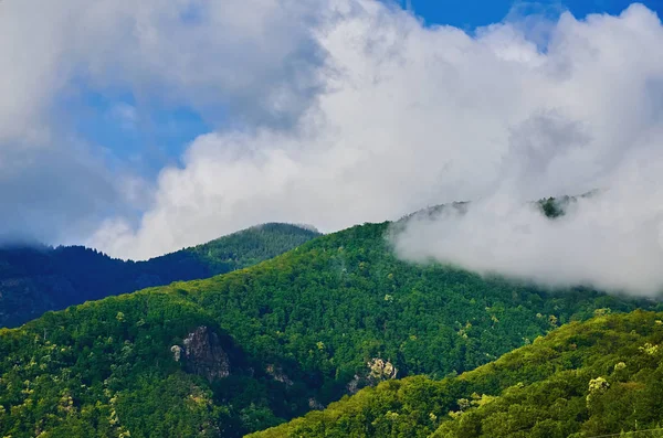 Carpathian Mountains Romania — Stock Photo, Image