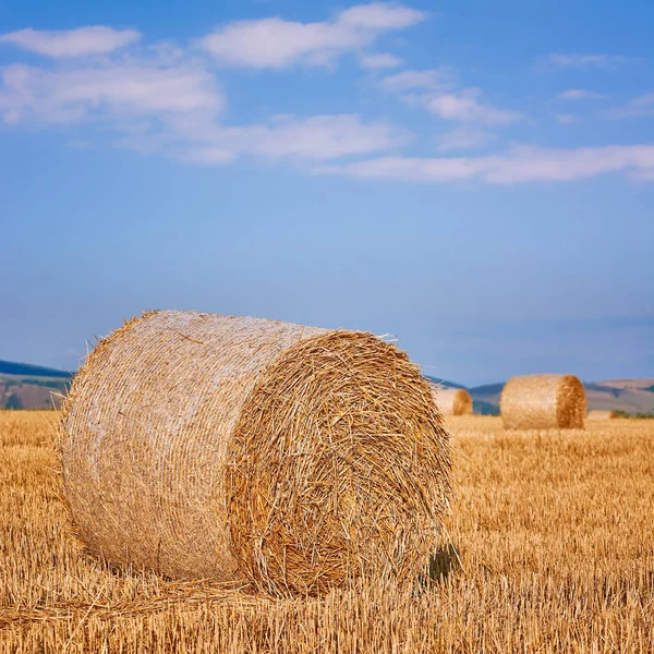 Αγροτικό Τοπίο Haystacks Στο Πεδίο — Φωτογραφία Αρχείου