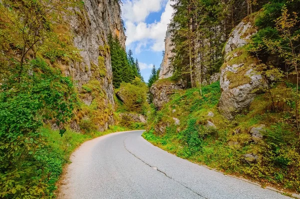 Straße im Rhodopengebirge — Stockfoto