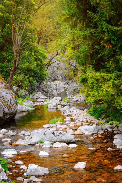 Río de montaña en las montañas Rhodope — Foto de Stock