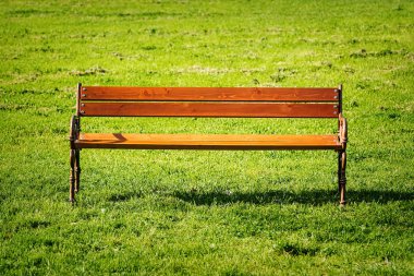Bench on the lawn