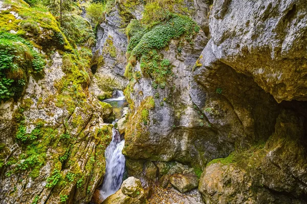 Rivière de montagne dans les Rhodopes — Photo