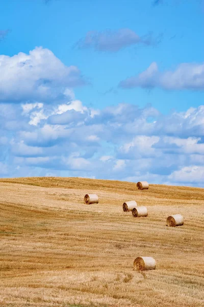 Heuhaufen auf dem Feld — Stockfoto