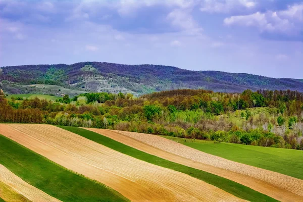Fields in Carpathian mountains — Stock Photo, Image