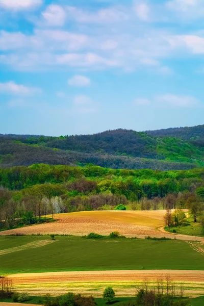 Fields in Carpathian mountains — Stock Photo, Image