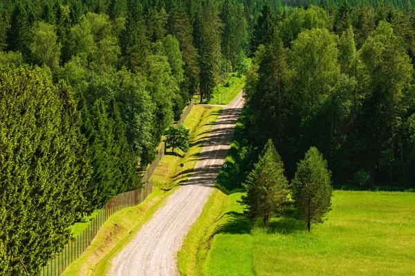 Landelijke Weg Door Het Bos — Stockfoto