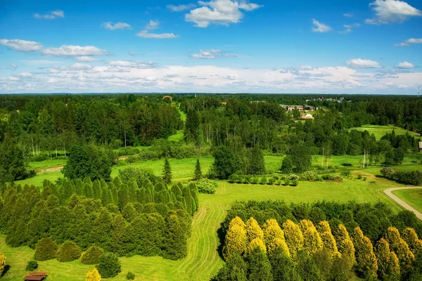 Différents Types Plantes Arbres Dans Arboretum — Photo