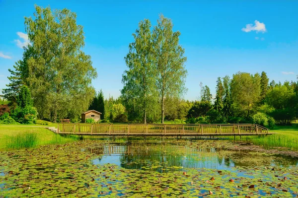 Most Přes Malý Rybníček Venkovské Oblasti — Stock fotografie