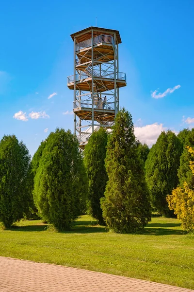 Wieża Widokowa Arboretum — Zdjęcie stockowe