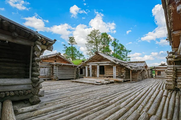 Araisi Fortezza Lacustre Lettonia — Foto Stock