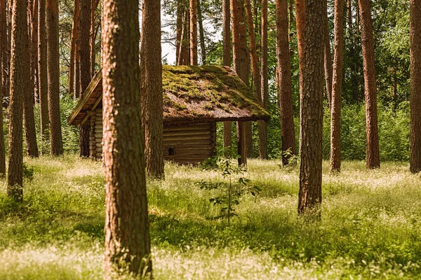 Casa Velha Zona Rural Riga Letónia — Fotografia de Stock