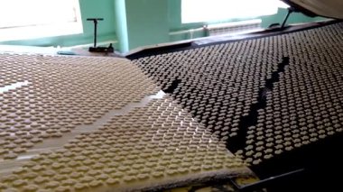 Tuzlu kraker çerezleri otomatik üretim hattı. Konveyör bant çerezleri