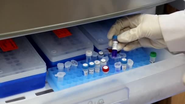 Lo scienziato sta prendendo provette con reattivi per l'analisi PCR-reazione — Video Stock