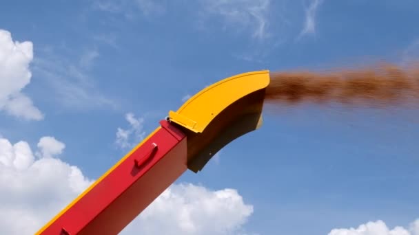 Cső működő gabona tisztító Dobó rakodó gép — Stock videók