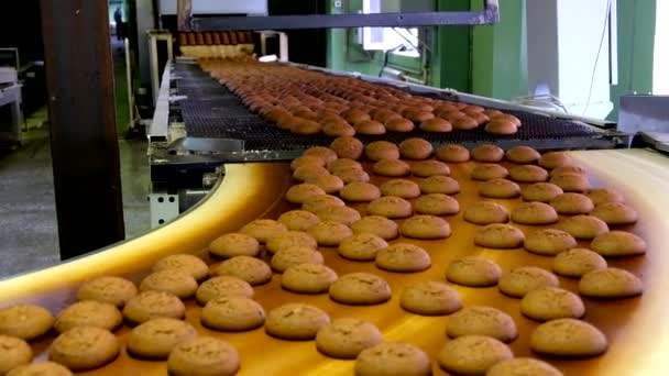 Ligne de production de biscuits à l'avoine. Biscuits sur bande transporteuse — Video