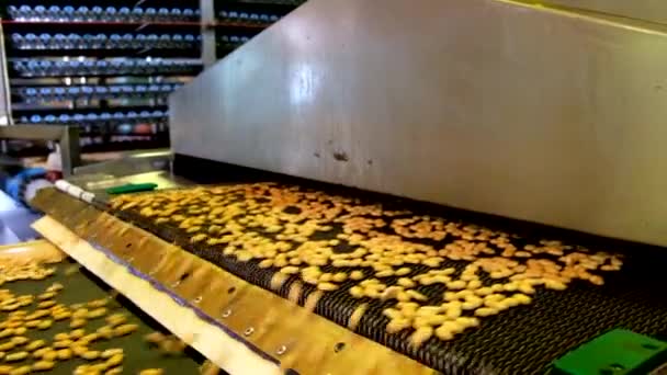 Línea de producción automatizada de galletas saladas. Galletas en cinta transportadora — Vídeos de Stock